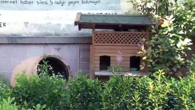  Anneler Günü’nü altı yavruyla karşıladı 