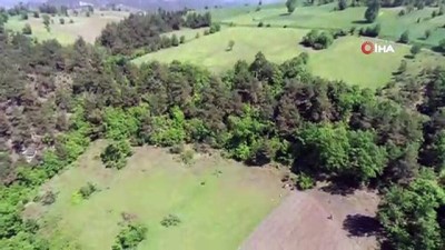  Minik Ecrin'i arama çalışmaları 6'ncı günde de devam ediyor