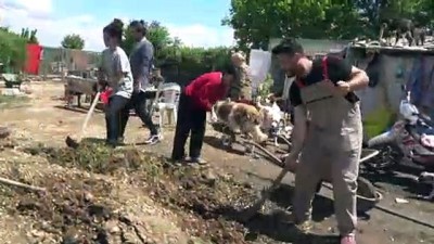 Üniversitesi öğrencileri sokak hayvanlarını unutmadı - TEKİRDAĞ