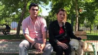 evcil kopek -  Akhisar'da köpeklerin de artık bir parkı var Videosu