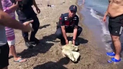 a haber - Denizde kadın heykeli bulundu - MUĞLA Videosu