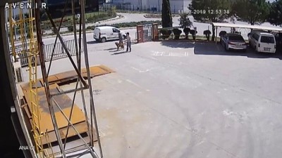 saldiri - İş görüşmesine giden kadına köpeğin saldırması kamerada - İZMİR  Videosu
