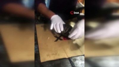 abba -  Kaplumbağayı kaportacıda hayata döndürdüler  Videosu