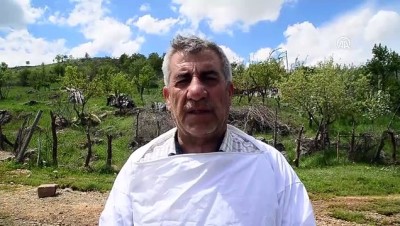 ilkbahar - Karakovan balı üreticilerinin yayla hazırlığı - BİTLİS  Videosu
