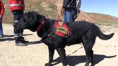 kucuk kiz - Kars'ta 3 yaşındaki minik Nurcan'ın kaybolması - Çalışmalara ara verildi - KARS Videosu