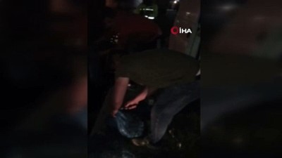 dur ihtari -  Tekirdağ’da 72 bin liralık kum midyesi ele geçirildi  Videosu