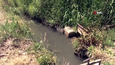kanal a -  Dere suyunun kirli olduğu iddiası  Videosu