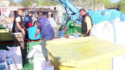 kimya -  Ordu’da üretilen kültür balıkları Rusya ve Japonya’ya ihraç ediliyor  Videosu
