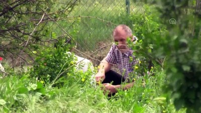 firari zanli - Teslim olmamakta direnen firari zanlı ikna edilerek yakalandı - ESKİŞEHİR  Videosu