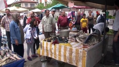 rekor -  Fırat Nehri'nde oltaya 83 kiloluk dev Turna balığı takıldı  Videosu