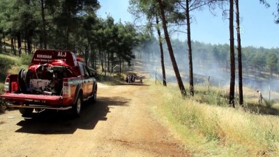 ormanli - Hatay'da orman yangını Videosu