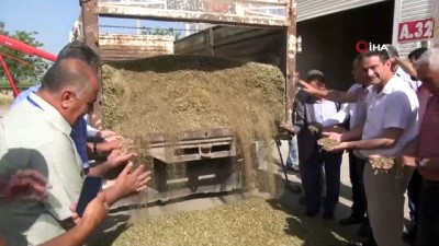 salda -  Kızıltepe’de yılın ilk arpa hasadı başladı  Videosu