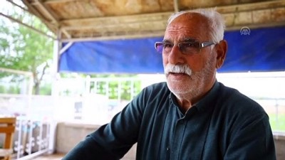 ilkokul ogretmeni - Şampiyon atların yarım asırlık seyisi: Hacı İpek - KONYA  Videosu