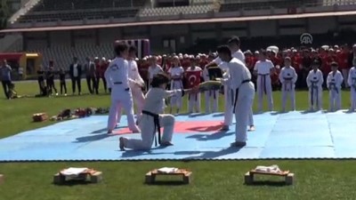 kompozisyon - 19 Mayıs Atatürk'ü Anma, Gençlik ve Spor Bayramı - AYDIN  Videosu