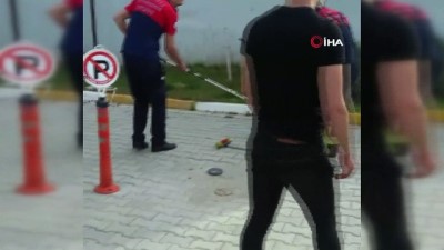 hastane bahcesi -  Hastanede yılan paniği Videosu