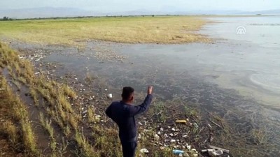 tarim arazisi - Irak'ta 60 bin dönümlük tarım arazisi sular altına kaldı - SÜLEYMANİYE Videosu
