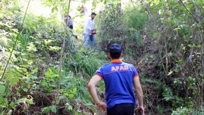 yasli kadin - Kaybolan yaşlı kadının cesedi bulundu - ORDU Videosu