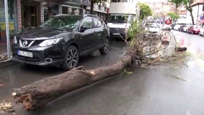 siddetli ruzgar -  Başkent'te şiddetli rüzgar ağacı devirdi Videosu