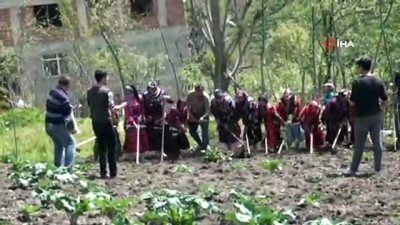  Giresun'da 400 yıllık gelenek yaşatılıyor...‘İmece usulü ile ekin’ Karadeniz’de başladı 