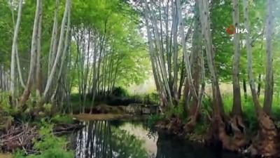  Mardin’in gizli şelalesi Yardere, kapılarını turizme açıyor 