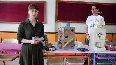  Sokak hayvanları için mama makinesi yaptılar 