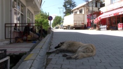 yasli nufus -  Türkiye'nin en yaşlı ilçesi 'Ağın' Sakin Şehir olma yolunda  Videosu