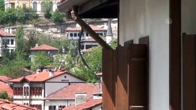 Geyik boynuzları Safranbolu evlerinin 'sigortası' gibi görülüyor - KARABÜK 