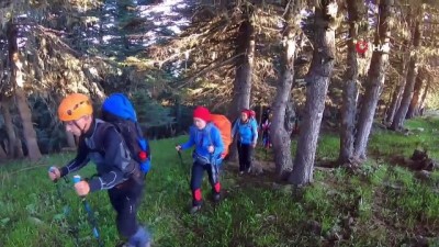 cakal -  Zirveye tırmanan dağcılara ayı ailesinden sürpriz  Videosu