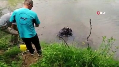 balik tutma -  Balık tutmak için gittiği derede boğuldu  Videosu