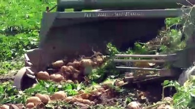 yansima - 'Patates tarlada 1,4 liraya kadar geriledi' - İZMİR Videosu