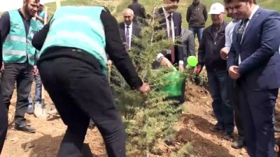 emniyet muduru - Bitlis'te 'Adalet Ormanı' oluşturuldu - BİTLİS Videosu