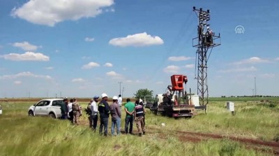 koordinat - Dicle Elektrik'ten drone ile kaçak trafo operasyonu - ŞANLIURFA  Videosu