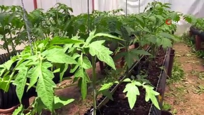 ilkokul ogretmeni -  Okul bahçesine kurulan seralar minik öğrencileri toprakla tanıştırıyor  Videosu