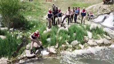 cevre temizligi - Jandarma ve polis inci kefali için seferber oldu (1) - VAN  Videosu