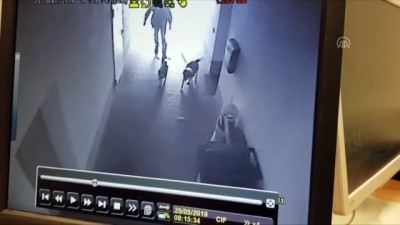 islam - Almanya'da camiye kundaklama girişimi - KÖLN Videosu