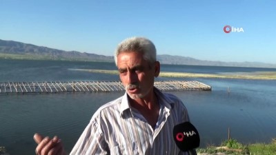 istimlak -  Baraj havzası doldu, istimlak alanındaki ağıl ve tarlalar suya gömüldü Videosu