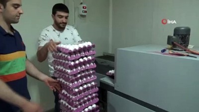  Diyarbakırlı genç girişimci köy yumurtalarını vatandaşların ayağına kadar getiriyor 