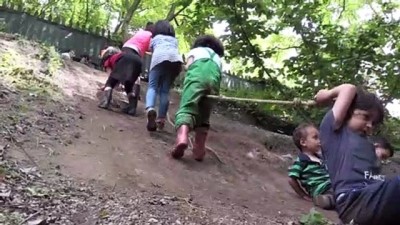 fen bilimleri - Minikler eğitime ilk adımı 'Orman Okulu'nda atıyor - YALOVA  Videosu