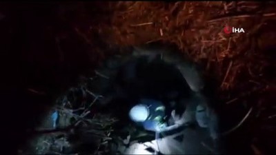 keci -  Van'da 25 metrelik kuyuya düşen yavru keçiyi itfaiye kurtardı  Videosu