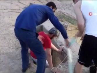 su kanali -  Duyarlı vatandaşlar su kanalına düşen köpeği kurtardı Videosu