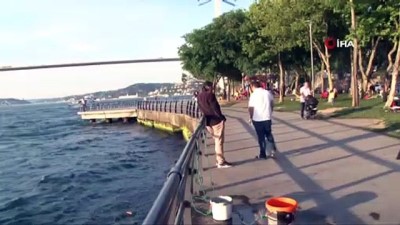 sampiyon - Galatasaray bayrakları köprülere asıldı Videosu