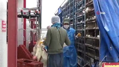 ambalaj fabrikasi -  Diyarbakır’dan Avrupa ve Afrika’ya tavuk ihracatı Videosu