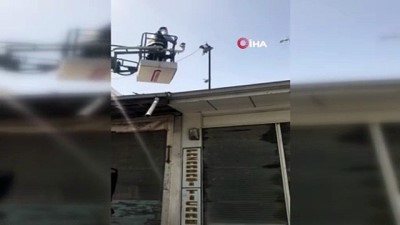 elektrik diregi -  Elektrik teline dolanan güvercin itfaiye ekipleri tarafından kurtarıldı  Videosu