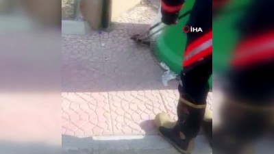 cop tenekesi -  Hastane önünde yılan paniği Videosu