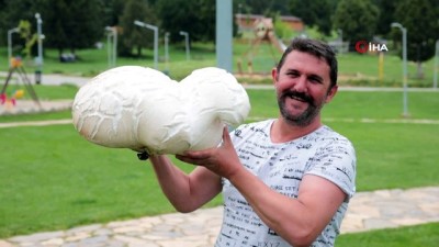 bulduk -  7 kiloluk dev mantar şaşırttı  Videosu
