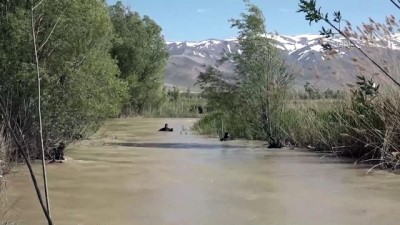 dere yatagi - Derede kaybolan liseli genci özel ekip de arıyor - VAN Videosu