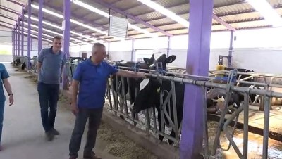 Devlet desteğiyle kurulan kooperatif yıllık 600 ton süt üretiyor - NİĞDE 