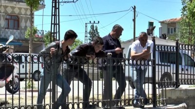 inci kefali - İnci kefaline 'can suyu' takviyesi - VAN  Videosu