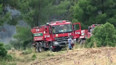 Serik'te 15 dekar ormanlık alan zarar gördü - ANTALYA