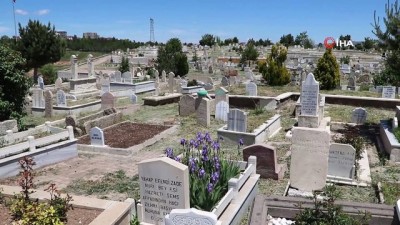  Sivas’ta 25 bin meçhul mezar...Yukarı Tekke Mezarlığı’nda bulunan 82 bin mezarın 25 bininin kaydı yok 